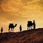 Pushkar Camel Safari