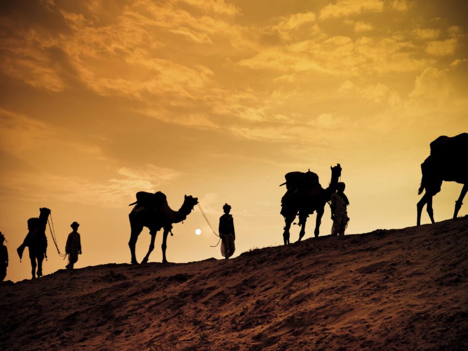 Pushkar Camel Safari