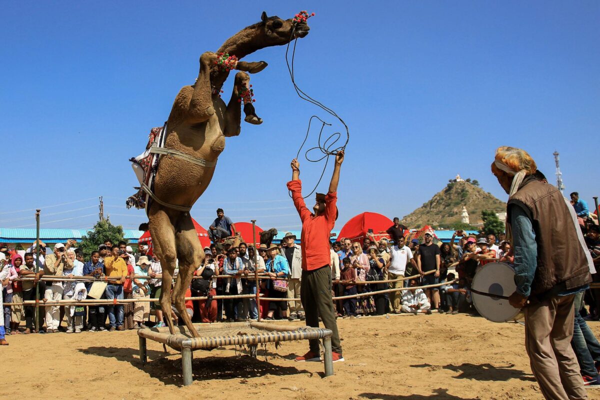 Pushkar Festival 2026
