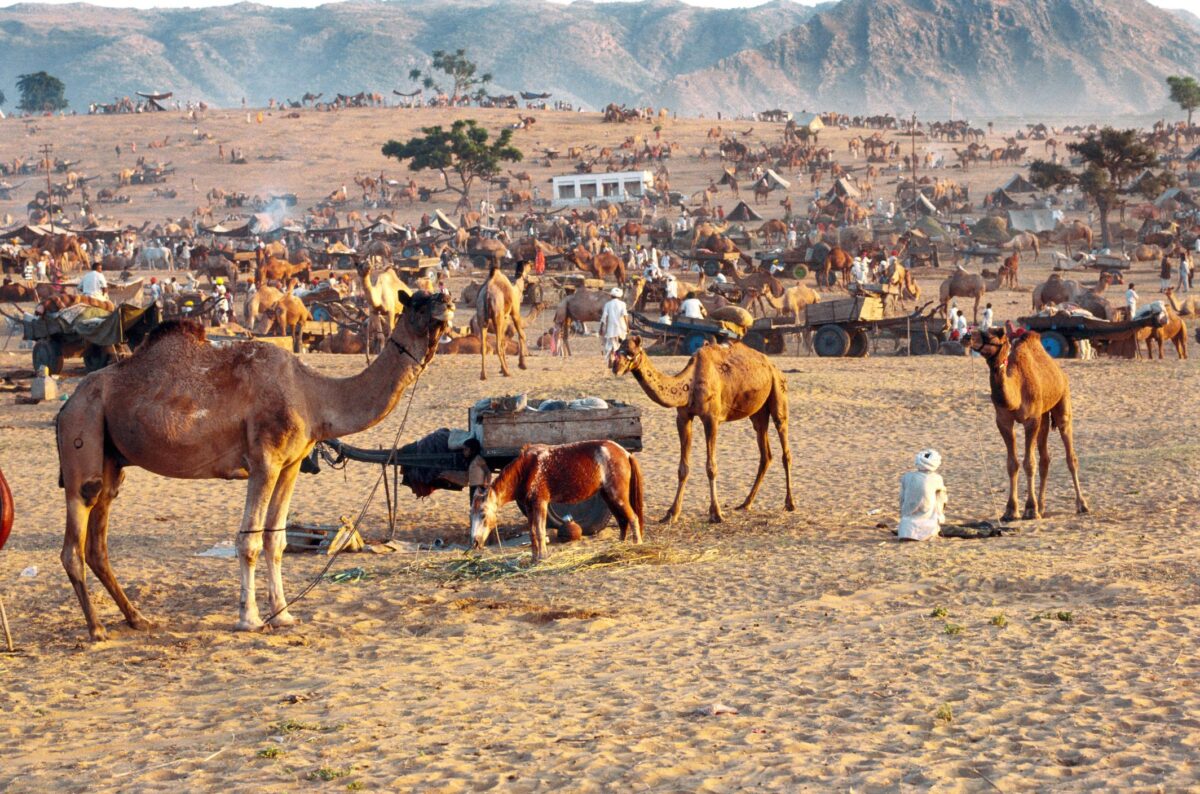 Pushkar Festival 2026