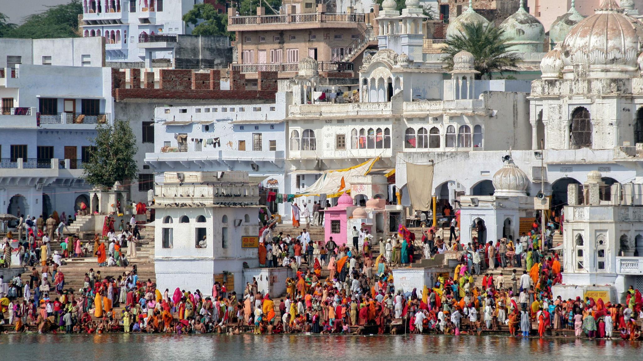 Rangji Temple Pushkar Timings