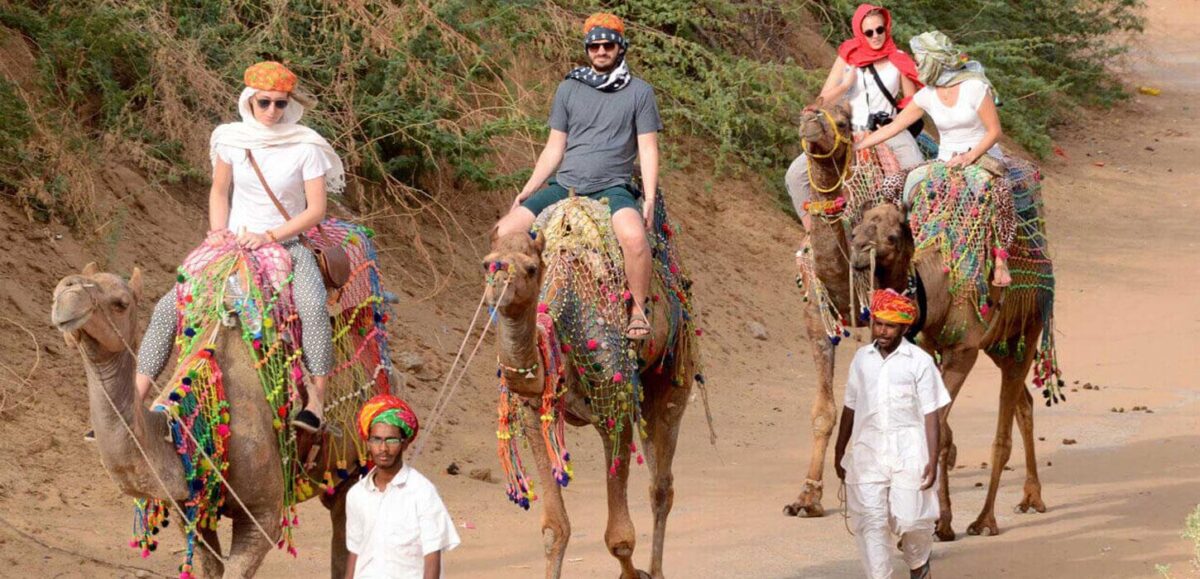 Pushkar Camel Safari