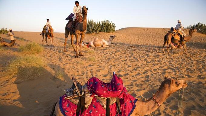 Pushkar Camel Safari